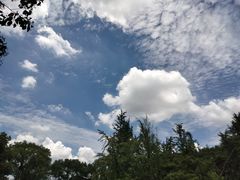 -独墅湖图书馆停车场