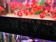 -中环花鸟鱼虫市场