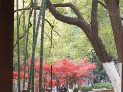 -岳麓山风景名胜区