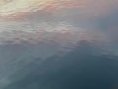 -金银湖国家城市湿地公园