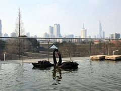 -行者书屋大堂吧 ·下午茶(南京圣和府邸酒店)