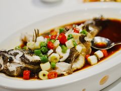 -南麓·浙里(外滩店)