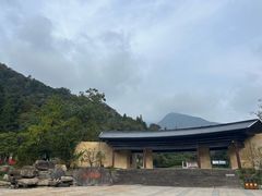 -天目山大树王景区