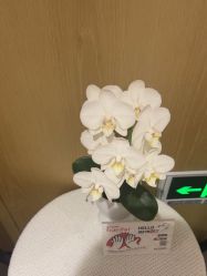 -广东韩妃整形外科医院