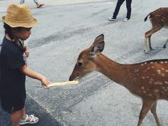 -清迈夜间动物园
