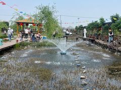 -同銮特种养殖场·龙虾垂钓