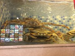 -船奇蒸汽海鲜·闽菜(八市海鲜总店)