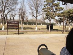 -汉长安城未央宫国家考古遗址公园