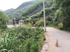 -东白山