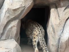 -青藏高原野生动物园