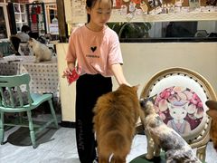 -猫小院猫主题餐厅(南锣旗舰店)