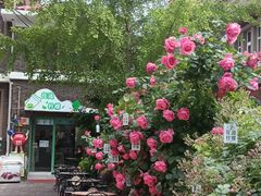 -天津五大道文化旅游区