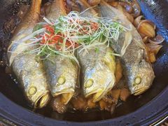 八分钟砂锅焗黄鱼-有喜胶东小馆(太申祥和店)