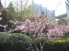 -常州古运河南大街文化旅游区-人民公园