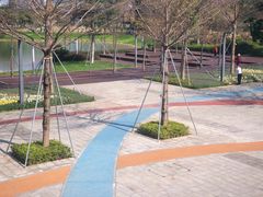 -香蜜公园