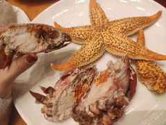 -视界美食自助餐厅·石家庄希尔顿酒店