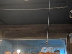 -辉记炭烧海鲜大排档·老字号(福田店)