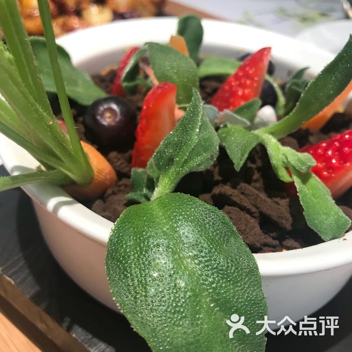 青梅酒肆图片-北京融合菜-大众点评网