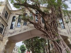 -赤坎·广东华侨国际旅游度假区