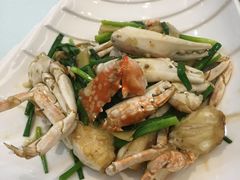 -欢乐海岸美食联盟