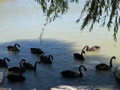 -天津东丽湖风景区