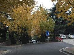 -蓝堡俱乐部