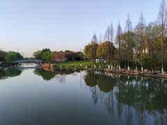 -九里河湿地公园