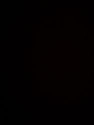 -莫莉幻想儿童乐园(郑州丹尼斯三天地店)