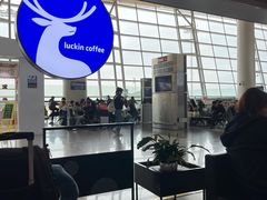 -鄂尔多斯伊金霍洛国际机场