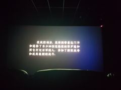 -寰映影城(摩天活力城IMAX店)