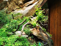 -黑龙潭风景区
