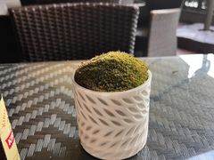 -广州四季酒店