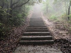 -梧桐山风景名胜区