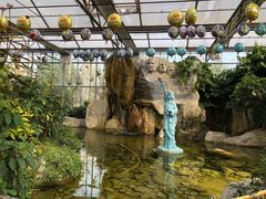 -南宫五洲植物乐园