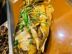 -陈家老院子(高新店)