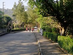 -滴水岩森林公园