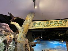 -陕西自然博物馆