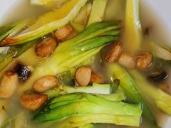 -顺德了能馆(虎门店)