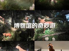 -四川大学博物馆