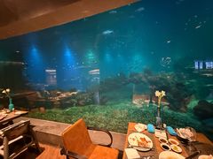 -海棠湾洲际-涛·海底餐厅·美人鱼·自助餐·海底隧道