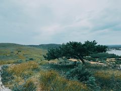 -恋山坝上草原