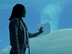 -海合安武汉极地海洋公园