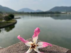 -风云岭森林公园