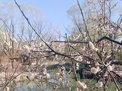 -万柳阁小馆·花园餐厅(龙潭湖店)