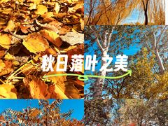 -南翠屏公园
