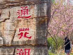 -昆明动物园