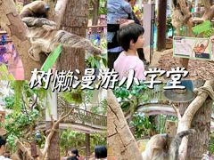 -正佳雨林生态植物园
