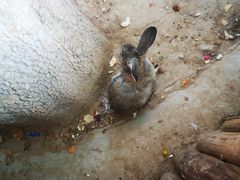 -辛玛王国游乐园