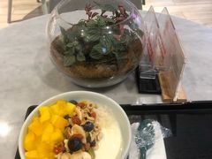 -宝珠奶酪(浦东金桥店)