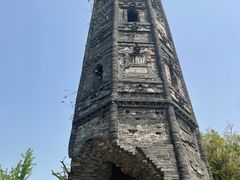 -上海佘山国家森林公园天马山园